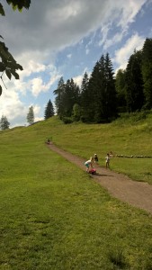 Spielen auf der Alm
