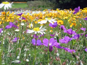 - und die Kinderzimmer