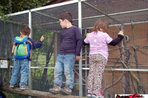 Die wahren Herausforderungen als Mama erfahrt ihr in diesem Blogpost!