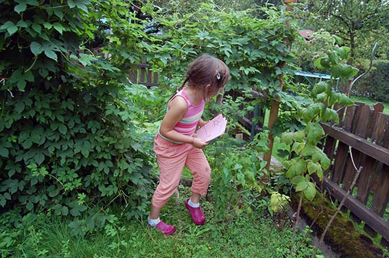 Warum Kinder Märchen brauchen: Phantasieentwicklung bei Kindern -Kräuter für die Mama: Hopfen