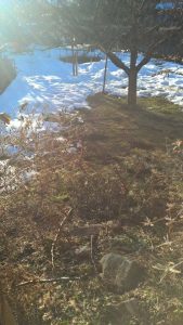 Wochenende in Bildern