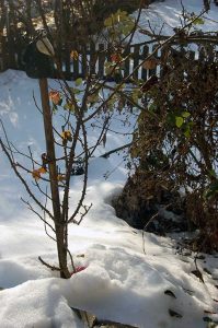 Leben ungeschminkt und unperfekt