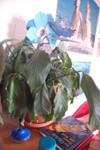 Leben ungeschminkt und unperfekt