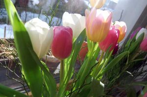 Leben ungeschminkt und unperfekt