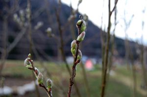 Upcycling im Frühling