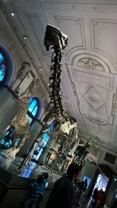 Urlaub mit Kindern in Wien