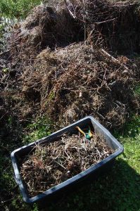 Gartenarbeit und Vorbereitungen fürs Hochbeet