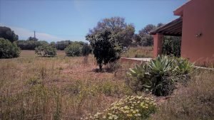 Ferien für Mama an der Algarve - Guia - Landhaus - Portugal