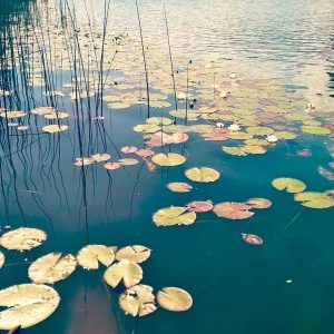 Badesaison ist eröffnet