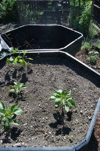 Zuhause ist es am schönsten