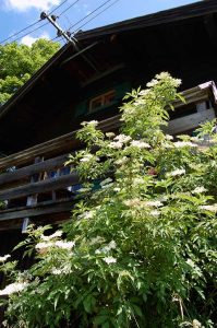 Magische Rituale zur Sommersonnenwende