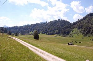 Magische Rituale zur Sommersonnenwende