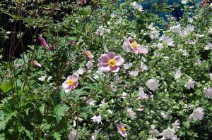 Yoga im Freien - die kleinen Momente achten und genießen