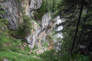 Zusammenhalt in der Familie