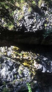 Ausflug in die Berge für familien mit kleinen Kindern: Gießenbachklamm und Schopper Alm