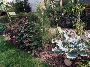 Wenn Job und Kindererziehung sich ergänzen, klappt die Vereinbarkeit wunderbar: Miss Broccoli im Interview.
