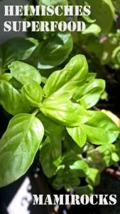 Heimisches Superfood: Tomaten, Oregano und Basilikum