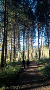 Halloweenparty für Kinder