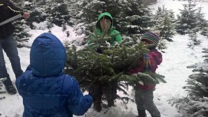 Christbaum selber schlagen: Hol Dir Deinen Tannenbaum aus dem Wald und Weihnachtsgeschenke für Kinder ab acht Jahren