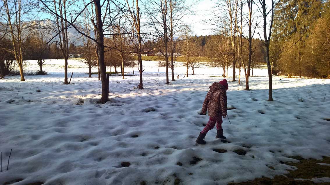 Jahreskreis für Familien: Spuren lesen im Winterwald