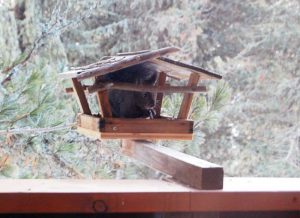Skihütte in Südtirol: Skiurlaub mit Kindern