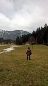 Jahreskreis erleben: Natur im März