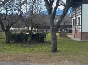 Jahreskreis erleben: Natur im März