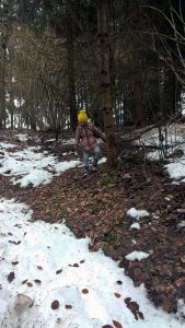 Jahreskreis erleben: Natur im März
