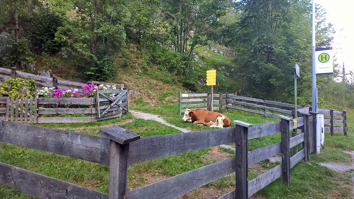 Butter selbst herstellen: DIY und Ausflugsziel Kaiserwinkl