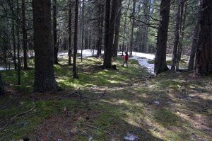 Naturkinder erleben die Jahreszeiten