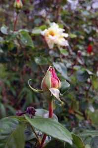 wertvolle Mini-Auszeit rettet das Wochenende