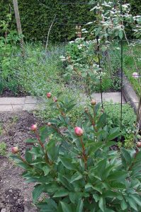 wertvolle Mini-Auszeit rettet das Wochenende