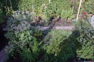 Mehr analoge Zeit im Garten verbringen! TUT GUT