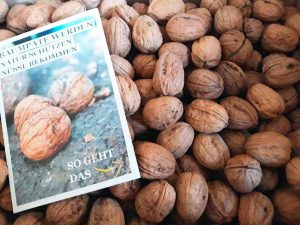 Baumpatenschaft: Bio Walnüsse aus Deutschland