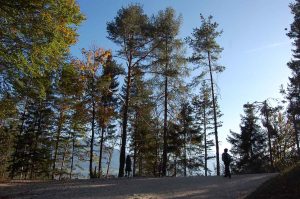 Waldbaden & Klammwanderungen bei Innsbruck