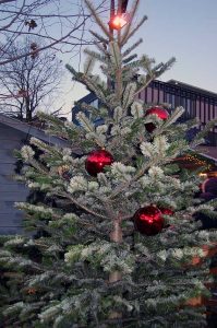 bewusster Konsum im Advent
