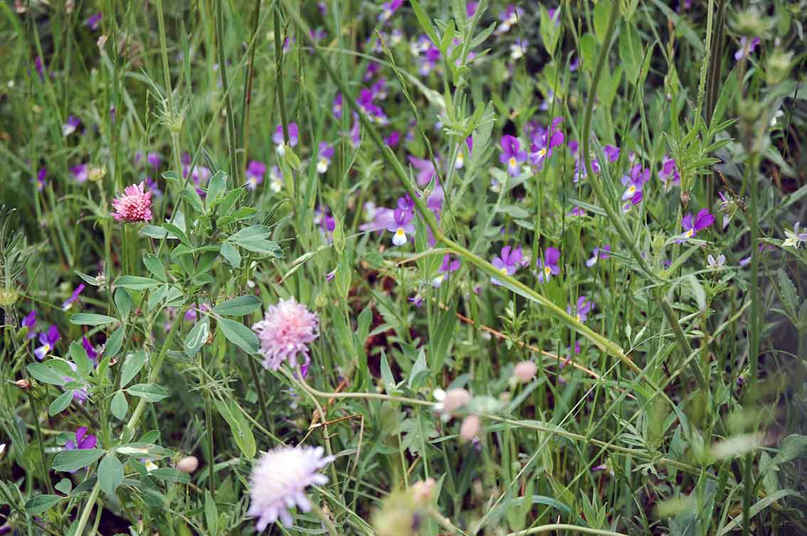 Achtsam sein für die kleinen Glücksmomente