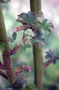 schöne Momente im April