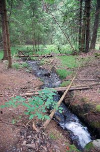 Mit Kindern wandern in den Alpen