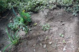 Schöne Momente im April