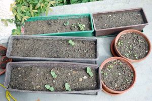 Schöne Momente im April