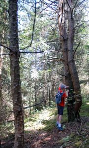 Geocaching Kindergeburtstag