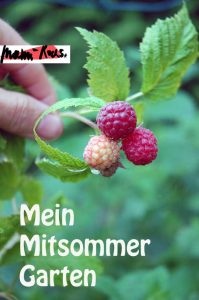 Mein Mitsommer Garten
