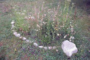 Mein Mitsommer Garten