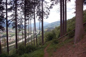 Geocaching Kindergeburtstag im Wald mit Wanderung