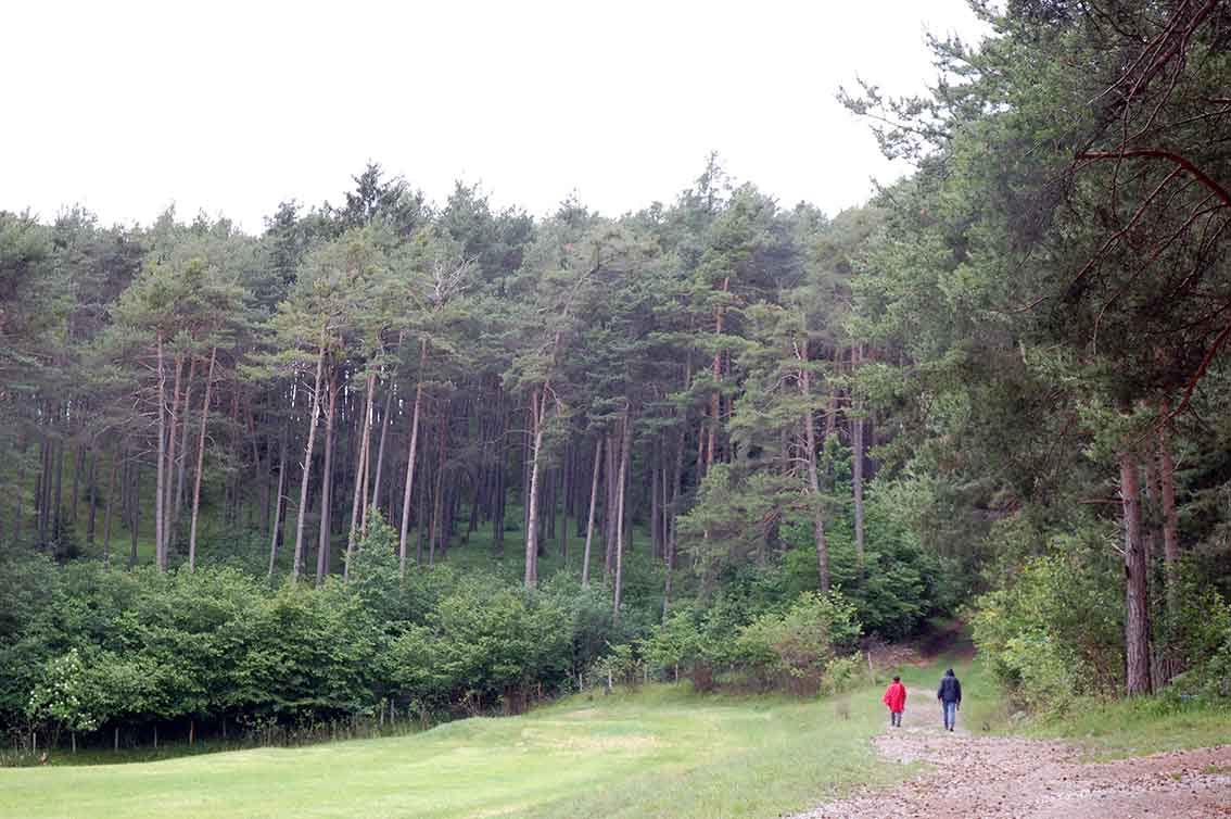 Regenwetter in den Bergen