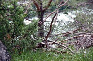 Regenwetter in den Bergen