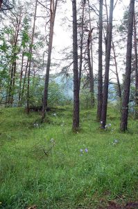 Regenwetter in den Bergen