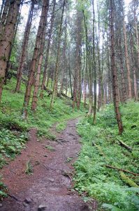 Naturspiele mit Holz und Steinen