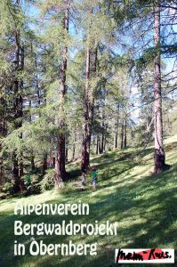 Alpenverein Bergwaldprojekt